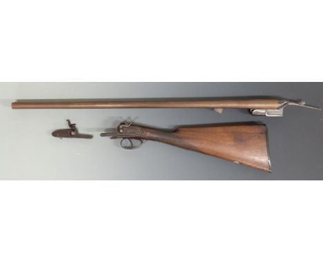Unnamed 16 bore side by side hammer action shotgun with engraved locks and hammers, 28 inch barrels, NVSN.&nbsp;PLEASE NOTE T