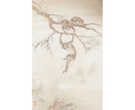 Chinese School, watercolour on card, Monkeys on a branch, with red seal marks, 50 x 32cm, unframed