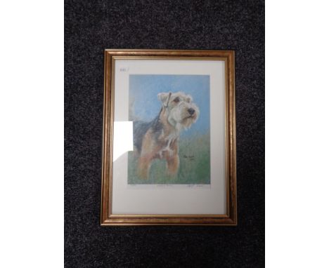 A framed Peter Hogarth signed limited edition print - Lakeland Terrier, number 33 of 800 