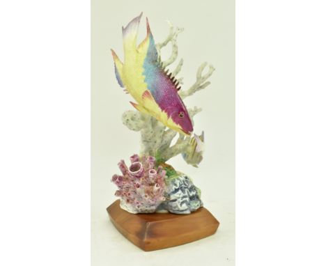 A 1950s Royal Worcester - Spanish Hog &amp; Sergeant Major fish&nbsp;sculpture designed &amp; modelled by Ron Van Ruyckevelt.