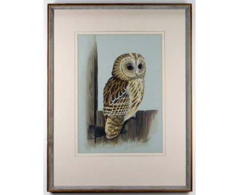 DICK TWINNEY watercolour - Tawney Owl on a Gate, signed and dated 1974, titled verso, 44 x 31cms