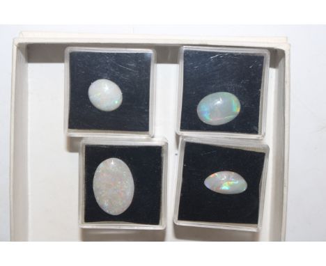 A box containing four pieces of opal