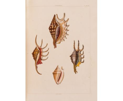 Shells.- Perry (George) Conchology, or the Natural History of Shells, first edition, 61 hand-coloured engraved plates, half-t