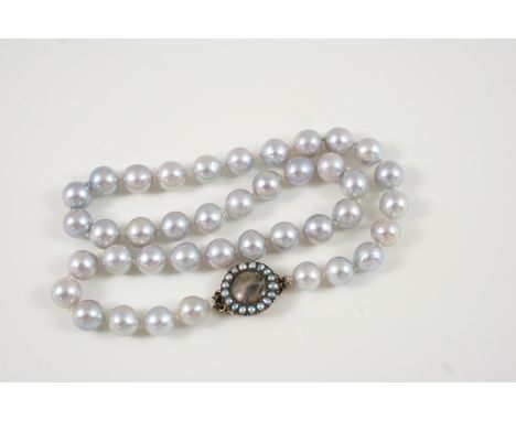 A SINGLE ROW UNIFORM CULTURED PEARL NECKLACE the grey pearls measure approximately 8.5mm. and are set to a gold Georgian clas