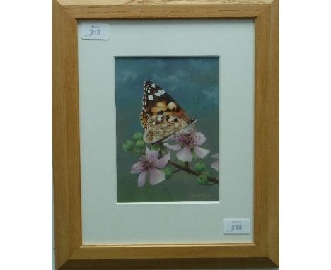 •M. Whitten (British, 20th century), Tortoiseshell Butterfly, watercolour, signed and dated '95, 8in x 5½in (20.25cm x 14cm),