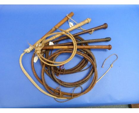 A Vintage leather Australian Stock Whip, with plaited weighted handle and butt knot, together  with three other stock whips a