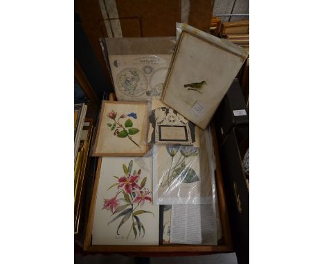 An interesting folio of unframed mostly hand-coloured prints including architectural, botanical, birds and other miscellaneou