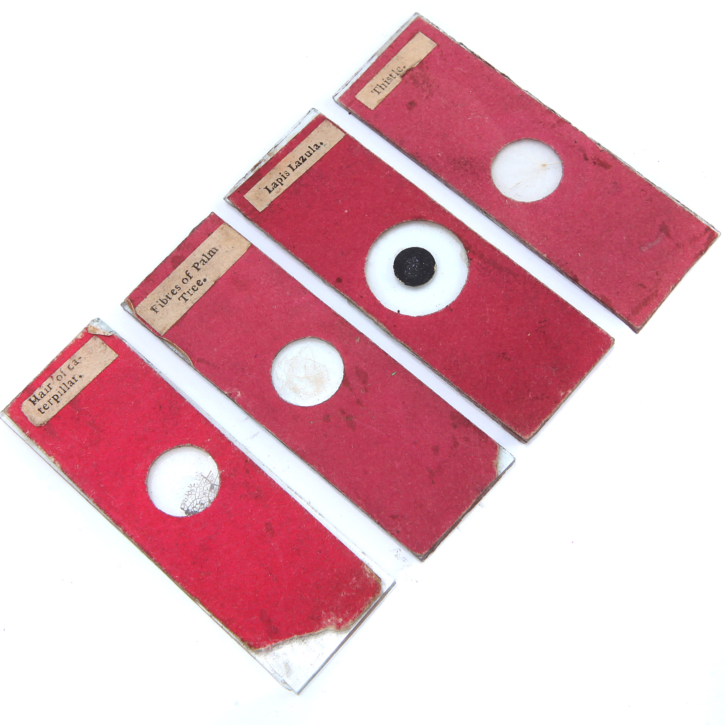 Early Set of Dry Mounted Microscope Slides, in flame mahogany case with