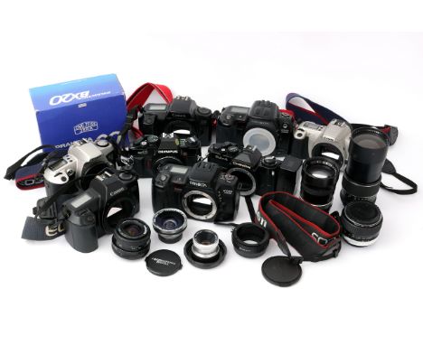 A Selection of Various SLR Bodies, including Canon EOS 300, Minolta Dynax 700si and more (a lot)