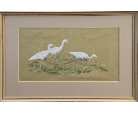 Robert Gillmor (b. 1936), watercolour and gouache - Three Cattle Egrets, signed, in glazed frame, 31cm x 54cm CONDITION REPOR