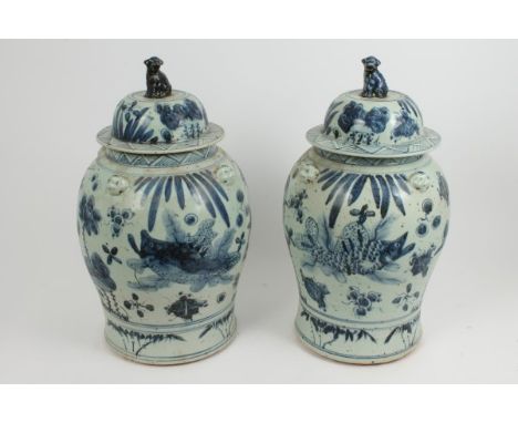 Large pair of provincial Chinese blue and white baluster jars and covers, each with Dog-of-Fo finial, decorated with carp wit