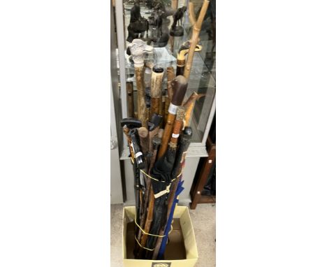 A collection of thirty various walking sticks, umbrellas and shooting sticks various, a turned wooden truncheon etc