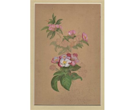 Water Colour-Floral Picture-coloured-unknown artist-from original sketch book 1861 - measurements 33cm x 25cm-excellent condi