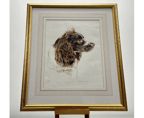 Tracy Rankin, "Toby", coloured pencil on paper, titled, signed and dated '93 bellow in a glazed gilt frame. (35.5cmx27cm)