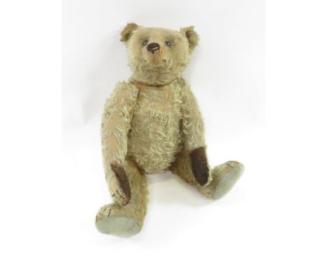 A jointed Steiff teddy bear, with black button eyes, felt pads to lower paws, internal growler and hump; early 20th century; 