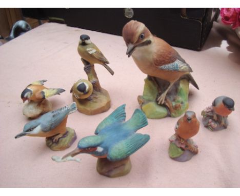 Royal Worcester birds including Jay, Kingfisher (7). 