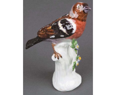 Buchfink Meissen 1740 Auf erhöhtem Baumstamm mit aufbossierten Blättern und Blüten sitzend. Naturalistisch modelliert und sta