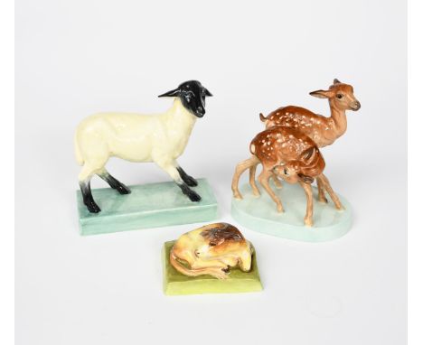 Stella Crofts (1898-1964) Calf, 2896 Royal Worcester figure, glazed in colours, 'Young Spotted Deer' designed by Doris Lindne