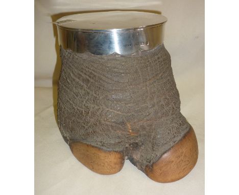 Victorian Taxidermy elephants foot tea caddy, mounted with silver (approx. 17 troy oz), hallmarked as Birmingham 1903, T. Woo