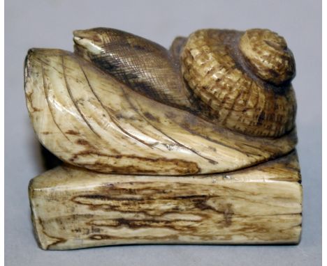 A SIGNED JAPANESE CARVED BONE IVORY NETSUKE OF A SNAIL, crawling along a leaf above two logs, 1.8in long & 1.3in high.