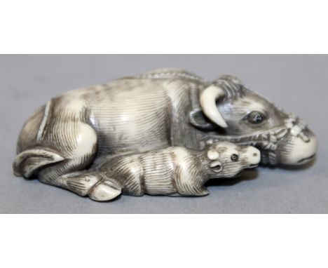 A GOOD SIGNED JAPANESE MEIJI PERIOD TOMOTADA SCHOOL IVORY NETSUKE OF A WATER BUFFALO & ITS YOUNG, the details stained and eng