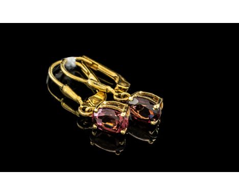 Pair of Garnet Drop Earrings, oval cut, single garnets of 1ct each, set in 14ct gold vermeil and silver lever back fittings