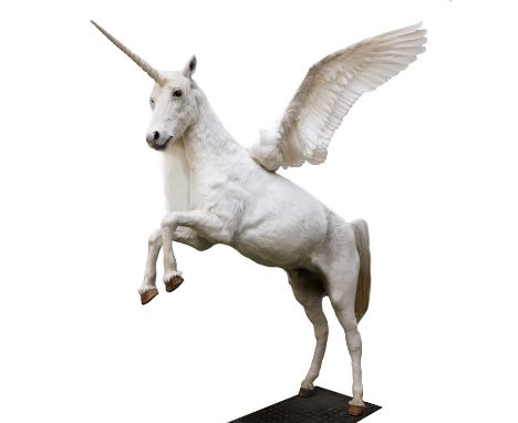 A TAXIDERMY ALICORN,20th century, a taxidermy horse mounted on a metal base, in a rearing position, with mounted swan wings a