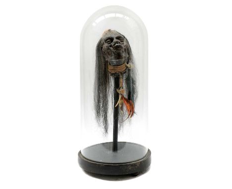 SHRUNKEN HEAD,19th century, a replica tribal shrunken head, adorned with shells and feathers, mounted on an ebonised base, un