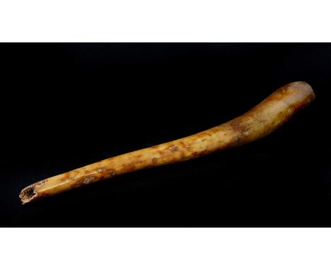 WALRUS BACULUM,18th-19th century, Canada, St Lawrence Island, a penis bone from a walrus (odobenus rosmarus), also known as a