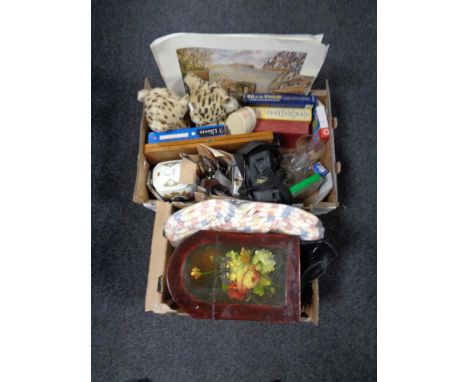 Two boxes containing miscellania to include soft toys, Ringtons caddy, wooden jewellery box, cutlery, glassware, books etc. 