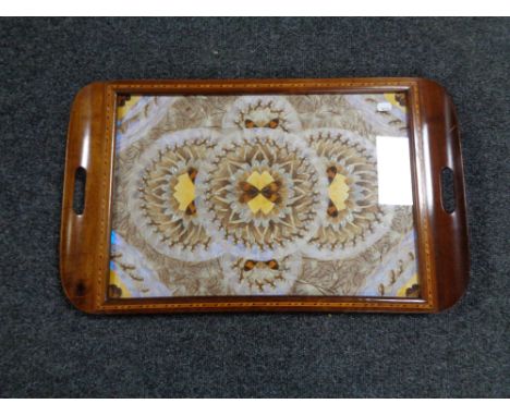 A butterfly tray. 