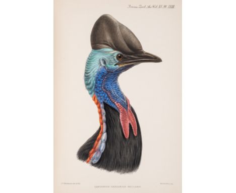 Rothschild (Walter) A Monograph of the Genus Casuarius, With a Dissertation on the Morphology and Phylogeny of the Palaeognat