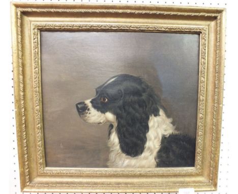 A Victorian oil portrait of a King Charles spaniel - 31 x 36cm
