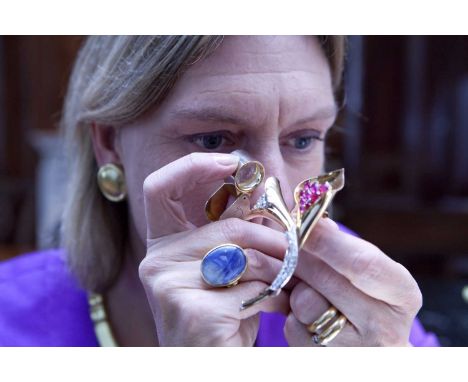 Personal Guided Tour with Joanna Hardy of the William &amp; Judith Bollinger Jewellery Gallery at The Victoria &amp; Albert M