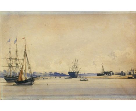 The Reverend Calvert Richard Jones (British, 1804-1877) Studies of 'Flora of Guernsey' 'Altesidore' 'Miranda' 'Paul Pry' 'Edd