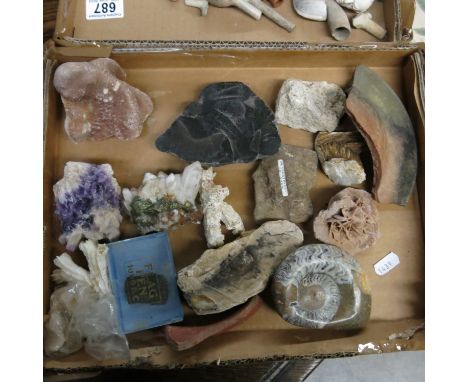 A large collection of fossils, rocks and minerals, including Iolite, Jasper, labradorite, quartz, together with carved flint 
