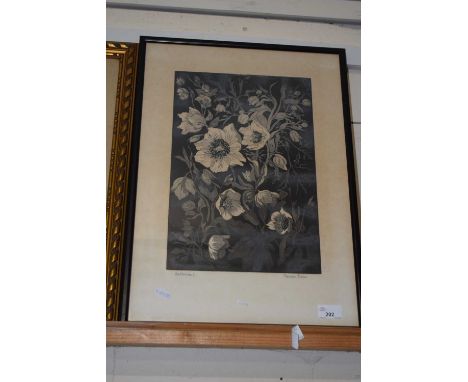 Marion Trim, study of Hellebores flowers, monochrome print, framed and glazed