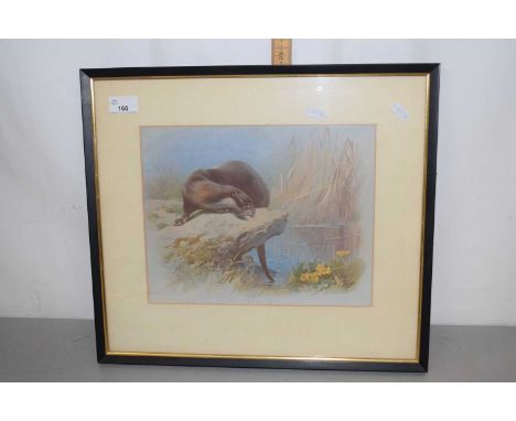A coloured print of an otter