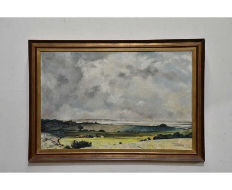 J WILKINSON; oil on board, rural landscape, signed lower right, 45 x 70cm, framed.
