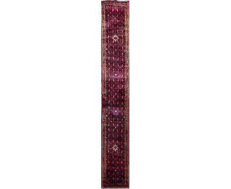 A KURDI RUNNER, IRAN, 1950  500 by 79cm 