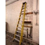 12' step ladder