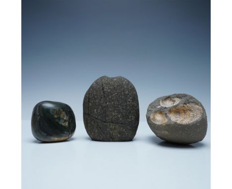A collection of three distinct natural stones, each with unique geological characteristics. The first stone is a polished spe