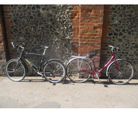 A Nitro BI gents bicycle and a Raleigh ladies Caprice bicycleLocation: 