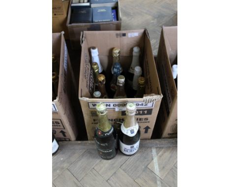 Twelve bottles of sparkling wine to include Marquis de Reminy, Asti Spumante etc