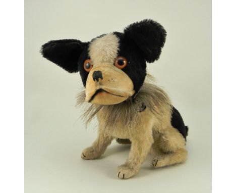 A fine Steiff mohair seated Bully Bulldog, circa 1930, with black and white mohair, brown glass eyes, velvet muzzle with stit