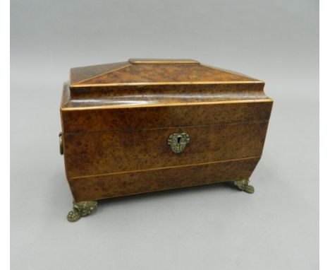 A Regency burr elm tea caddy. 33 cm wide.