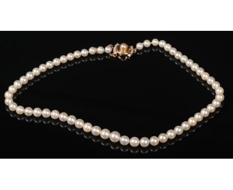 A pearl necklace with 14 carat gold clasp.  