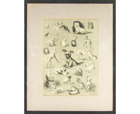 Vintage Lithograph of various dog breeds by famous Dog artist Louis Wain