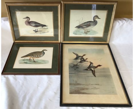 Four wild bird prints to include a pair in gilt frames of "American Wigeon" and "Gadwall", print size 20.5 x 28cms and 22 x 2