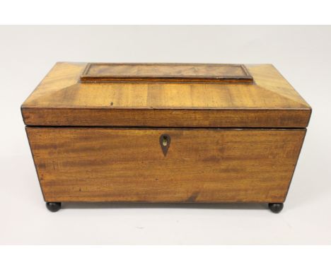 A LATE REGENCY ROSEWOOD TEA CADDY with burr panel in the top, fitted interior, supported on bun feet. 12.5ins wide.